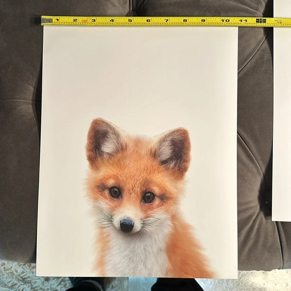 Crown prints animal pictures - Picture 6 of 9